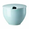 Rosenthal Zuckerdose Mit Einschnitt Junto Opal Green 8